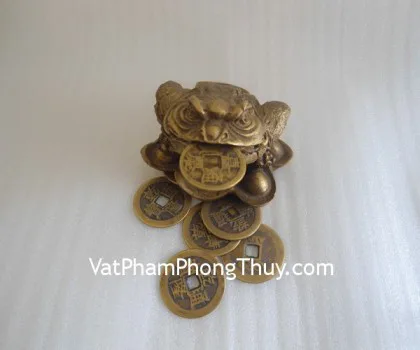 Thiềm thừ lam ngọc lớn DT207